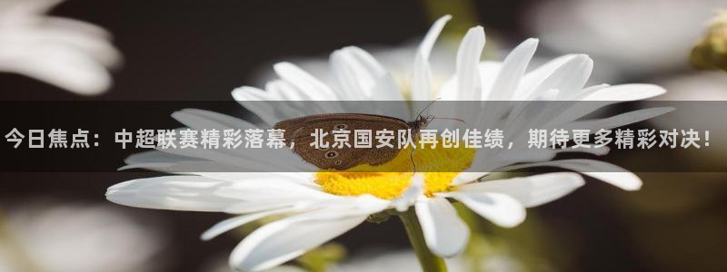 今日焦点：中超联赛精彩落幕，北京国安队再创佳绩，期待更多精彩对决！