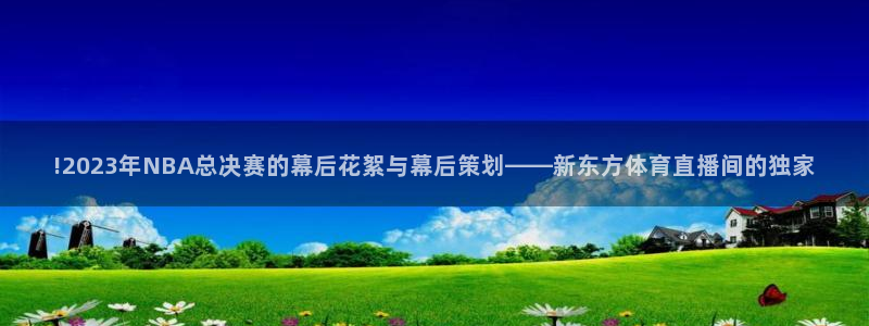 !2023年NBA总决赛的幕后花絮与幕后策划——新东方体育直播间的独家