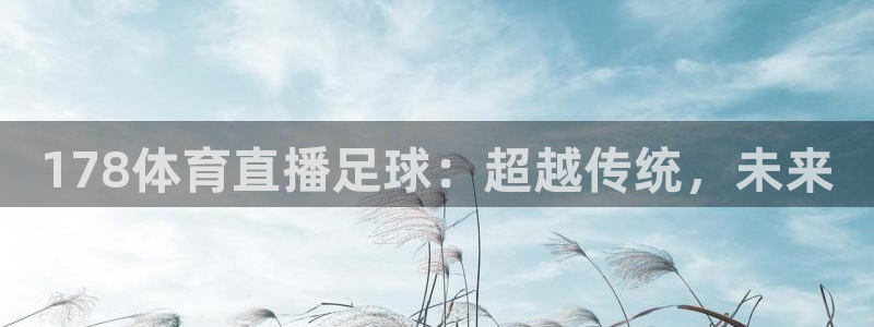 178体育直播足球：超越传统，未来