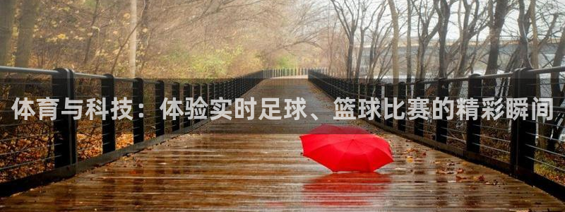 体育与科技：体验实时足球、篮球比赛的精彩瞬间
