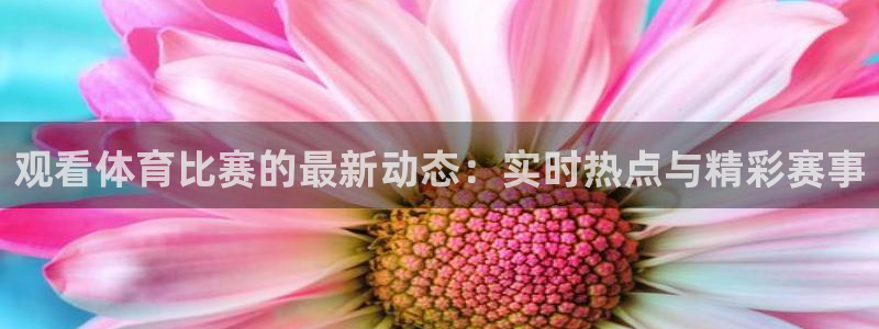 观看体育比赛的最新动态：实时热点与精彩赛事