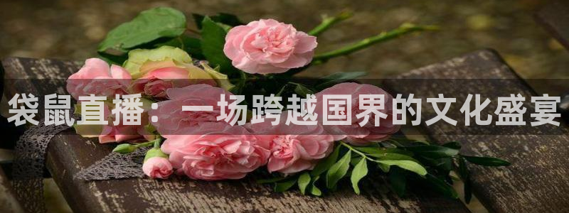 袋鼠直播：一场跨越国界的文化盛宴