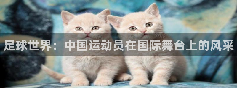 足球世界：中国运动员在国际舞台上的风采