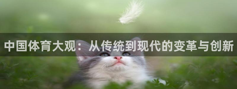 中国体育大观：从传统到现代的变革与创新