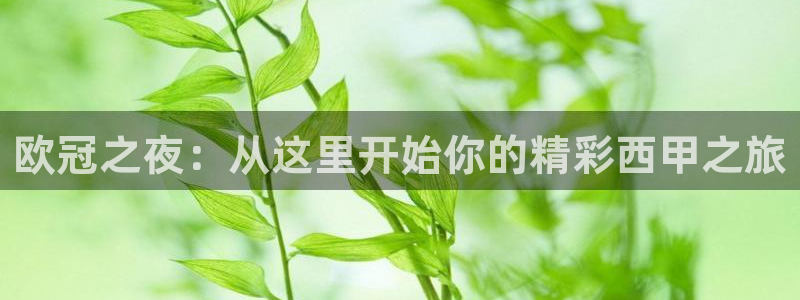 欧冠之夜：从这里开始你的精彩西甲之旅