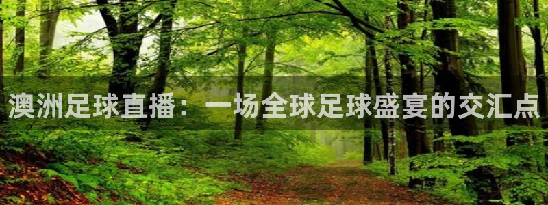 澳洲足球直播：一场全球足球盛宴的交汇点
