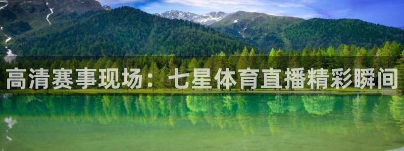 高清赛事现场：七星体育直播精彩瞬间