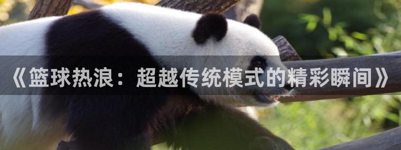 《篮球热浪：超越传统模式的精彩瞬间》