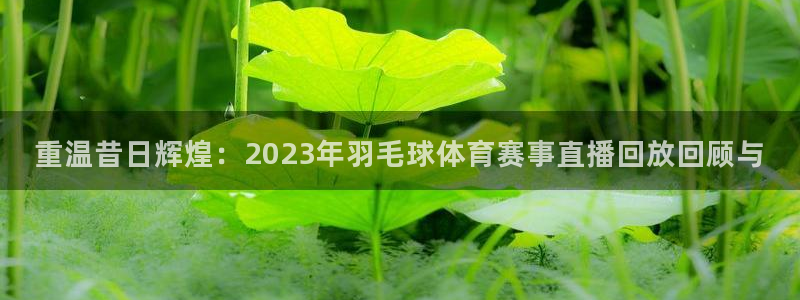 重温昔日辉煌：2023年羽毛球体育赛事直播回放回顾与