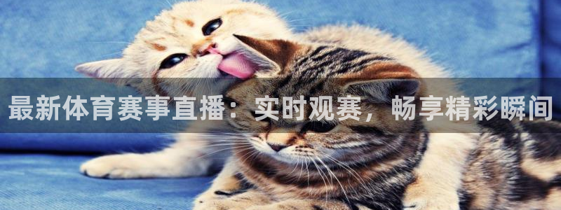 最新体育赛事直播：实时观赛，畅享精彩瞬间