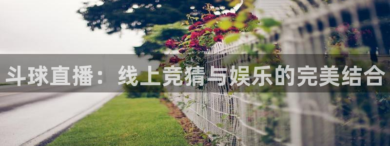 斗球直播：线上竞猜与娱乐的完美结合