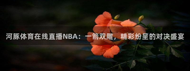 河豚体育在线直播NBA：一箭双雕，精彩纷呈的对决盛宴