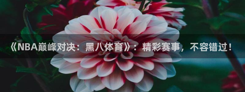 《NBA巅峰对决：黑八体育》：精彩赛事，不容错过！