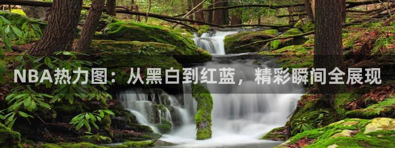 NBA热力图：从黑白到红蓝，精彩瞬间全展现