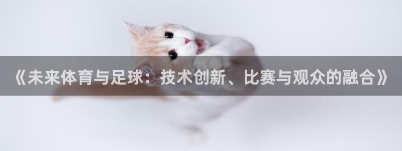 《未来体育与足球：技术创新、比赛与观众的融合》