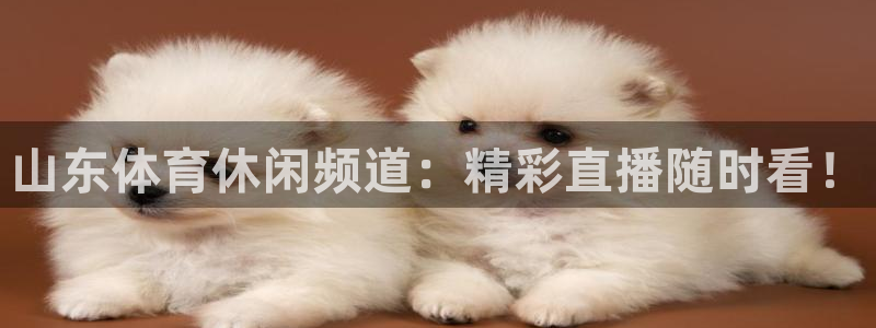 山东体育休闲频道：精彩直播随时看！