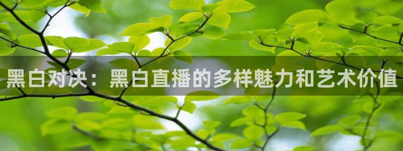 黑白对决：黑白直播的多样魅力和艺术价值