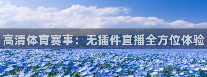 高清体育赛事：无插件直播全方位体验