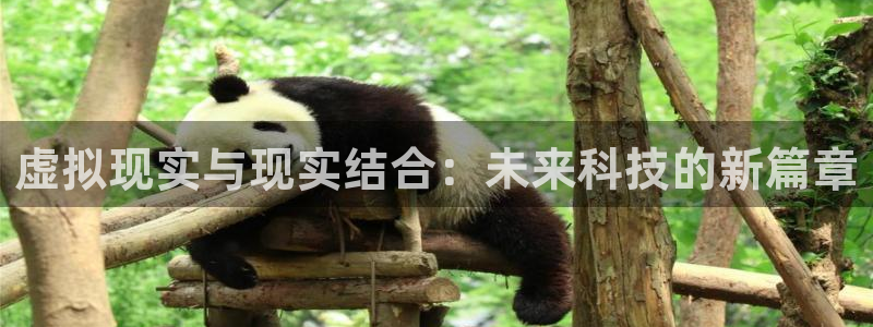 虚拟现实与现实结合：未来科技的新篇章