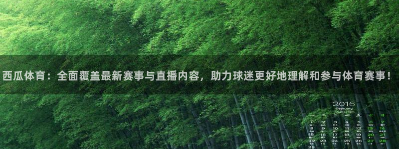 西瓜体育：全面覆盖最新赛事与直播内容，助力球迷更好地理解和参与体育赛事！