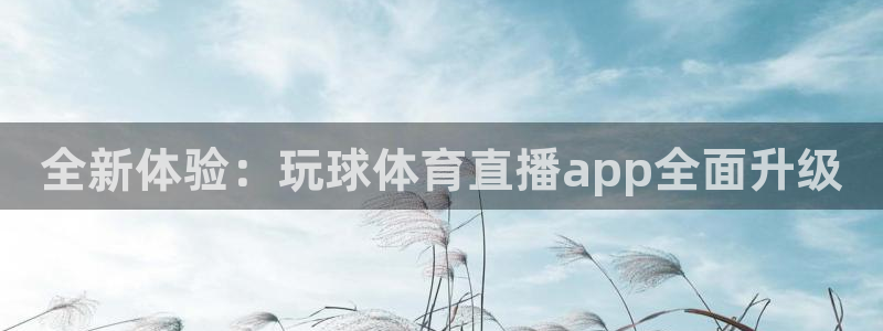全新体验：玩球体育直播app全面升级