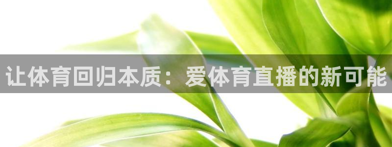 让体育回归本质：爱体育直播的新可能