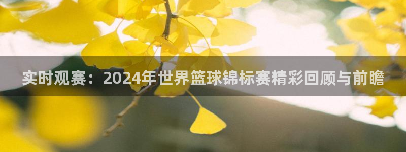 实时观赛：2024年世界篮球锦标赛精彩回顾与前瞻