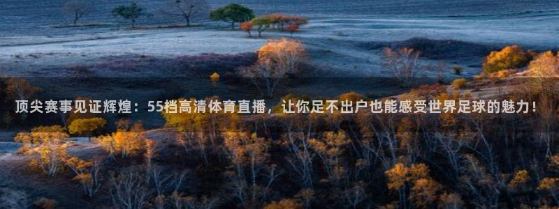 顶尖赛事见证辉煌：55档高清体育直播，让你足不出户也能感受世界足球的魅力！