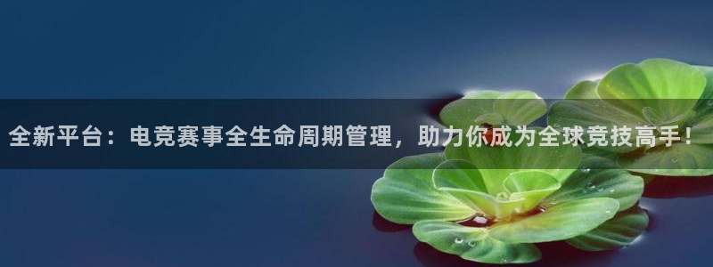 全新平台：电竞赛事全生命周期管理，助力你成为全球竞技高手！