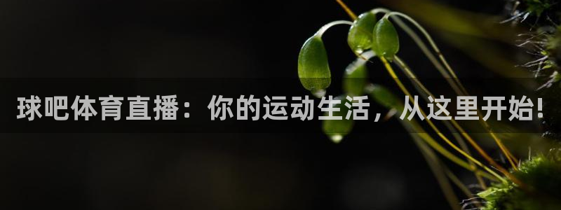 球吧体育直播：你的运动生活，从这里开始!