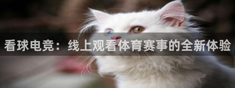 看球电竞：线上观看体育赛事的全新体验