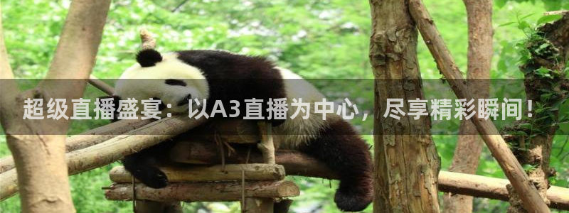 超级直播盛宴：以A3直播为中心，尽享精彩瞬间！