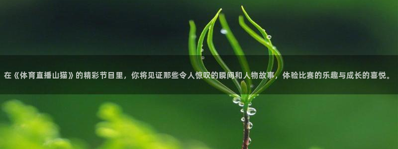在《体育直播山猫》的精彩节目里，你将见证那些令人惊叹的瞬间和人物故事，体验比赛的乐趣与成长的喜悦。