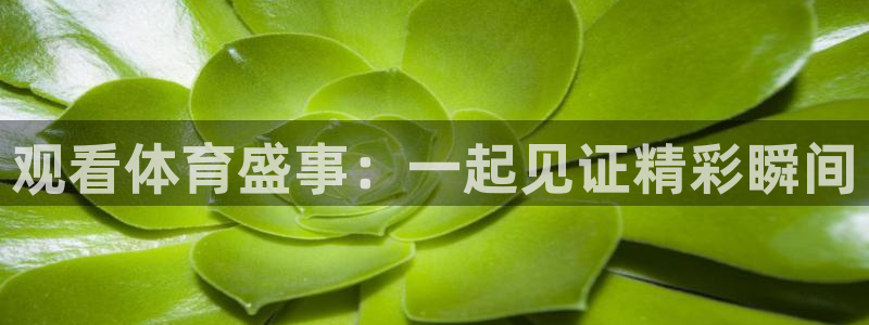 观看体育盛事：一起见证精彩瞬间