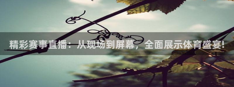精彩赛事直播：从现场到屏幕，全面展示体育盛宴!