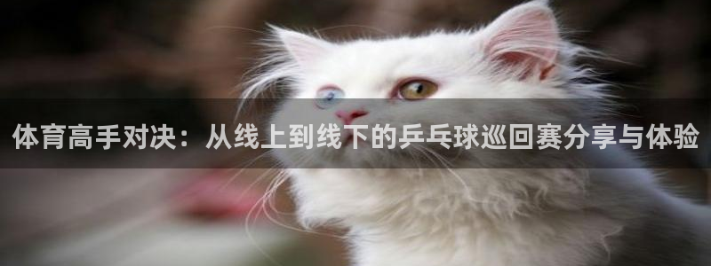 体育高手对决：从线上到线下的乒乓球巡回赛分享与体验