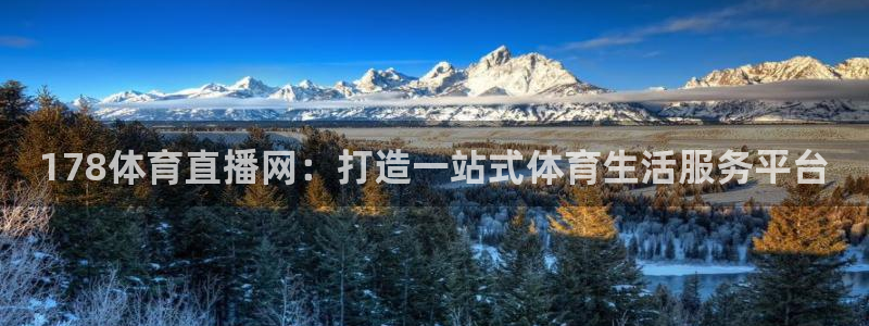 178体育直播网：打造一站式体育生活服务平台