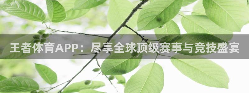 王者体育APP：尽享全球顶级赛事与竞技盛宴