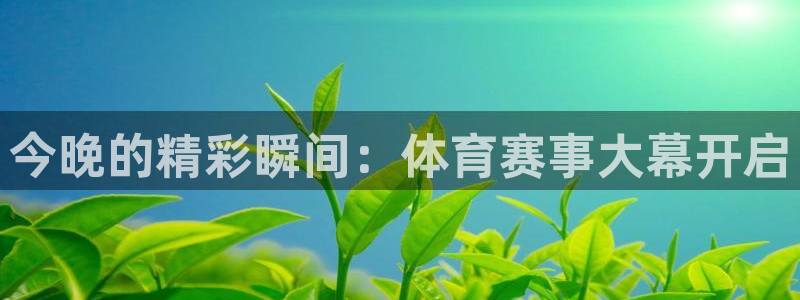 今晚的精彩瞬间：体育赛事大幕开启