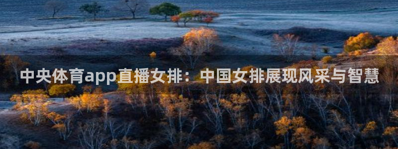 中央体育app直播女排：中国女排展现风采与智慧