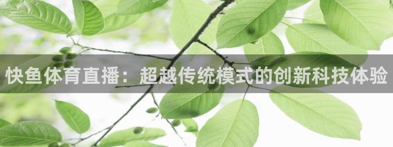 快鱼体育直播：超越传统模式的创新科技体验