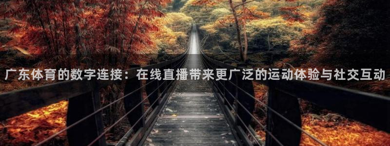 广东体育的数字连接：在线直播带来更广泛的运动体验与社交互动