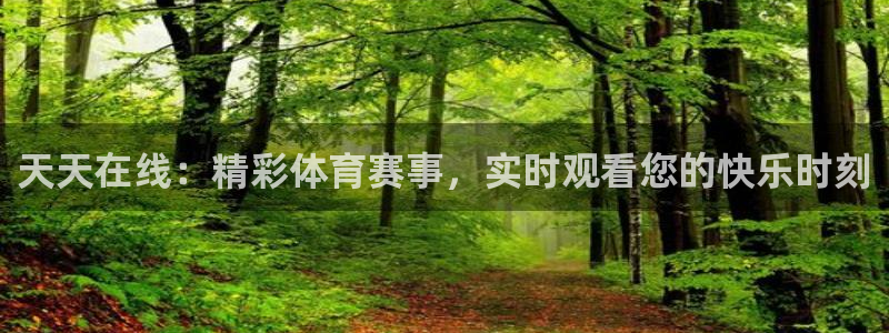 天天在线：精彩体育赛事，实时观看您的快乐时刻