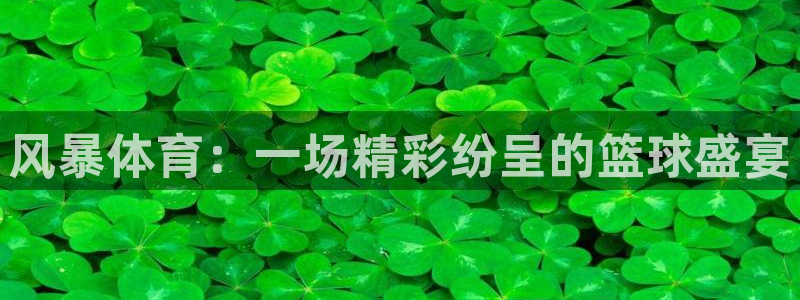 风暴体育：一场精彩纷呈的篮球盛宴