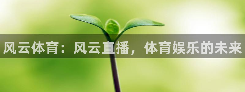 风云体育：风云直播，体育娱乐的未来