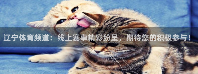 辽宁体育频道：线上赛事精彩纷呈，期待您的积极参与！