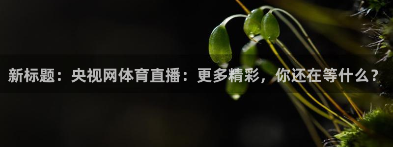 新标题：央视网体育直播：更多精彩，你还在等什么？