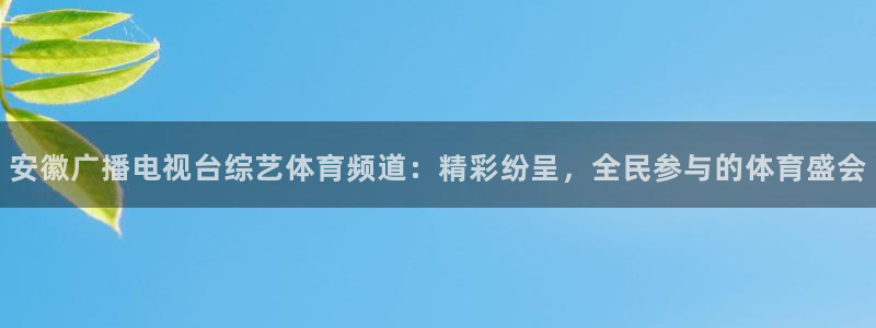 安徽广播电视台综艺体育频道：精彩纷呈，全民参与的体育盛会