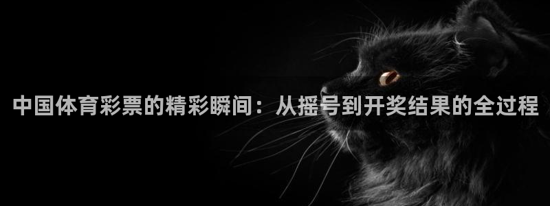 中国体育彩票的精彩瞬间：从摇号到开奖结果的全过程