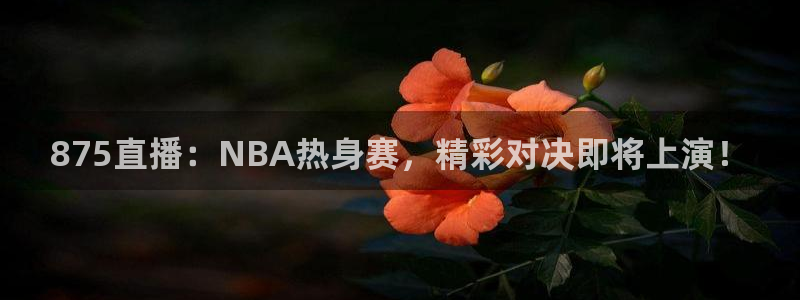 875直播：NBA热身赛，精彩对决即将上演！